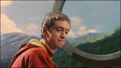 Choisis ton arbre préféré parmi les suivants.