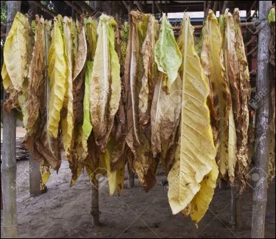 Produit pour dérider, c'est la...