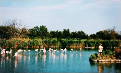 Fait le même effet que la Faucheuse, c'est la...