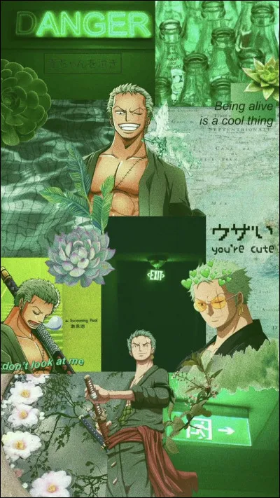 Qui est le frère de Zoro ?
