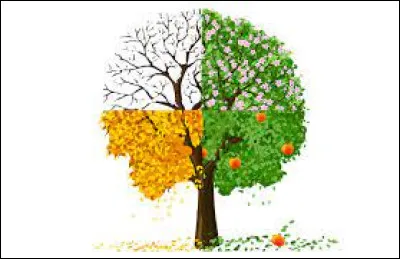 Qui a composé "Les Quatre Saisons" ?