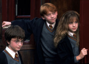 Test Quel personnage es-tu dans le trio de ''Harry Potter'' ?