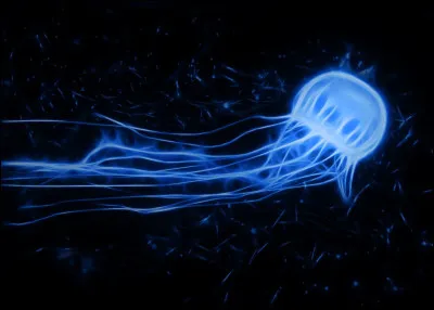 Quel est ton patronus ou ton patronus pr&eacute;f&eacute;r&eacute; ?