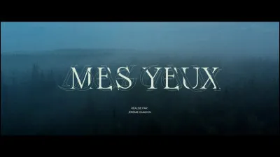 Quelle est la couleur de tes yeux ?