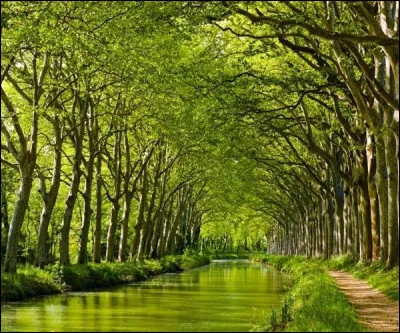 Histoire : qui est le concepteur du Canal du Midi ?