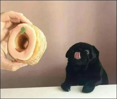 Tu as fort faim ; au distributeur, tu prends...