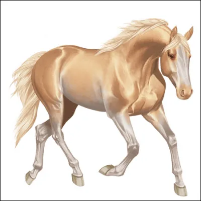 Et cette race est...