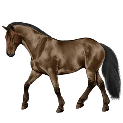 Maintenant, quelle est cette robe ?