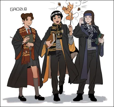 Ton style vestimentaire est :