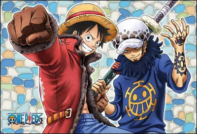 Si tu devais faire une alliance avec un autre pirate, laquelle ferais-tu ?