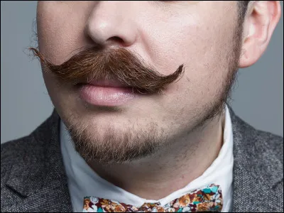 Ton animal peut-il avoir des moustaches ?