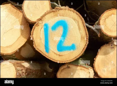 Le nombre 12 est le numéro atomique du ...