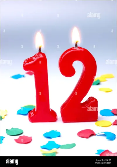 Comment appelle-t-on une strophe de 12 vers ?