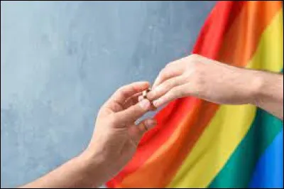 Depuis quelle année le mariage pour tous est-il autorisé en France ?