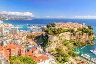 Sport : lequel de ces joueurs de football n'a jamais jou&eacute; pour le club de l'AS Monaco ?