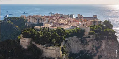 Ville : comment est appel&eacute; ce quartier de Monaco ?