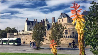 Art : Lequel de ces groupes de musique est originaire de la ville de Nantes ?