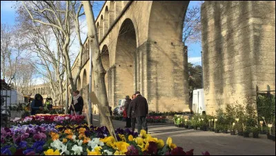 Lieu d'exception : Comment est surnommé l'aqueduc Saint-Clément qui se trouve au cur de la ville ?