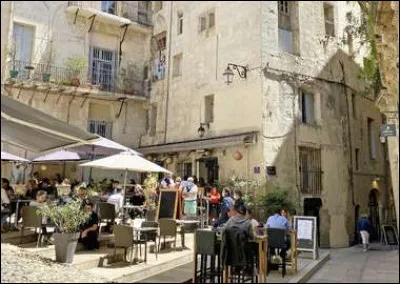 Culture : Qu'est-ce que le FISE qui se déroule chaque année ?