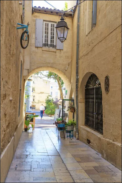 Art : Lequel de ces films se déroule à Montpellier ?