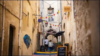 Ville : Comment s'appelle le quartier historique de Montpellier ?