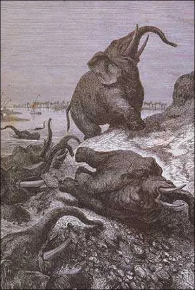 À quel interprète doit-on le titre "Le Cimetière des éléphants" ?