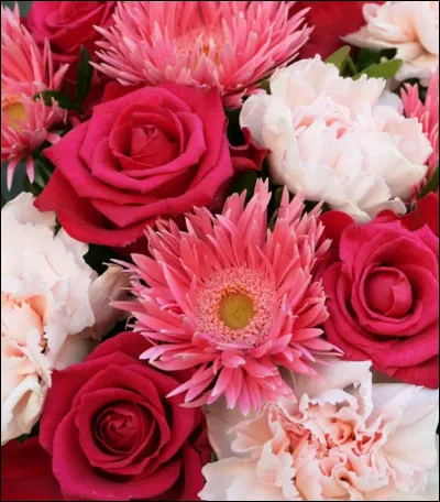 Aimes-tu cette image ?