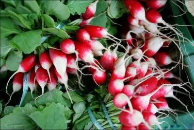 C'est une botte de...