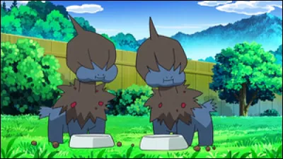 Quelle(s) attaque(s) n'est/ne sont PAS apprise(s) par Solochi, via une montée de niveau, dans "Pokémon X et Y" ?