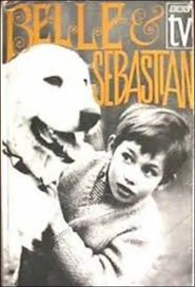 Quel est le prénom du petit garçon qui jouait dans le feuilleton "Belle et Sébastien" ?