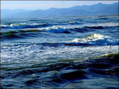 Nous retrouvons la Mer de Tasman dans :