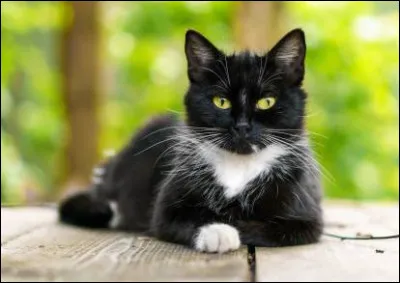 Je suis un outil utilisé par les paysans, dans les champs, on me dit également "cruel". Qui suis-je ?