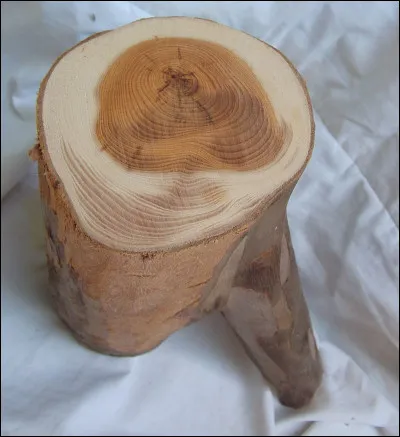 Commune du Calvados en rapport avec un conifère dont le bois très solide et souple à la fois permettait la fabrication des arbalètes au Moyen Âge.