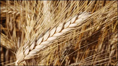 3 communes se partagent une partie du nom entre l'Aisne, Maine-et-Loire et Loiret.