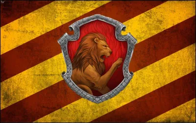 Qui est le professeur de la maison Gryffondor ?