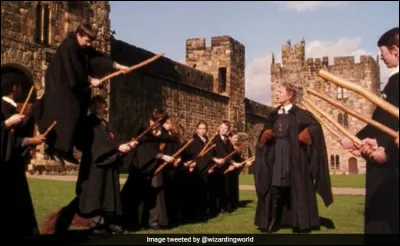 Quel rôle Harry a-t-il au match de Quidditch ?