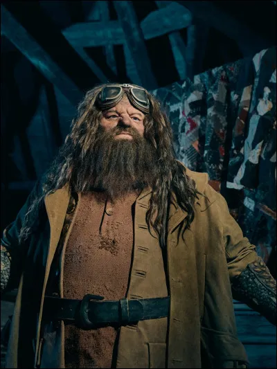 Quel est le nom du dragon de Hagrid ?