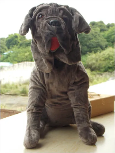 Comment se nomme le chien de Hagrid ?