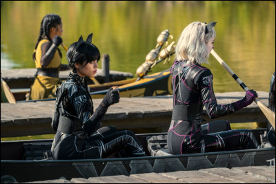 Pour quelle raison le canoe des Amontillado coule-t-il ?