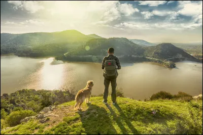 Tu te décrirais plutôt comme quelqu'un de :