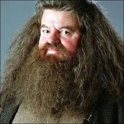 Qui est Hagrid ?