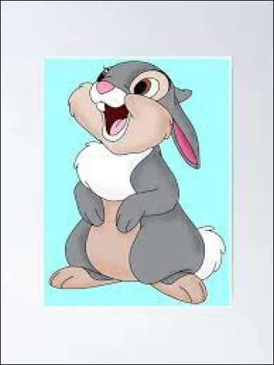 Gris : Dans quel film Disney voit-on Pan-Pan ?