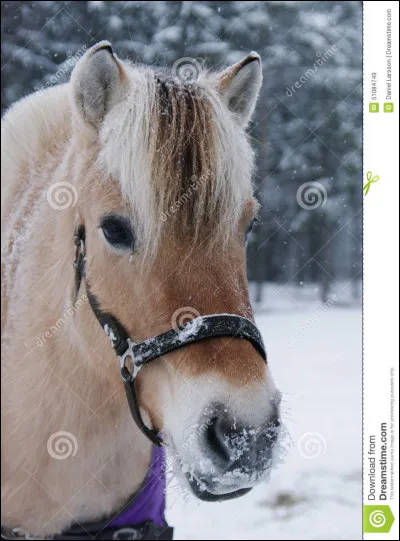 Avant, il était très apprécié par :