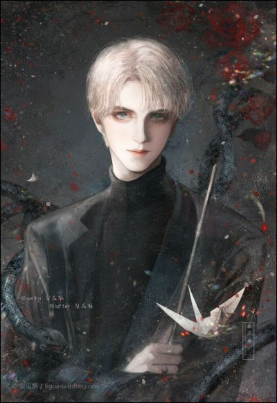 Harry a cru qu’il était l’héritier de Salazar Serpentard.