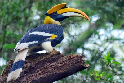 Bon, et celui-ci alors est...
