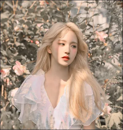 Qui préfères-tu parmi les membres de "Twice" ?