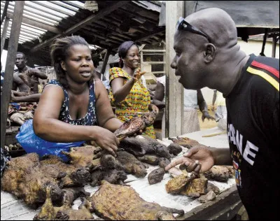 Pour sensibiliser la population et les gouvernements concernés à ce problème, une journée mondiale est désormais consacrée au pangolin. À quelle date ?