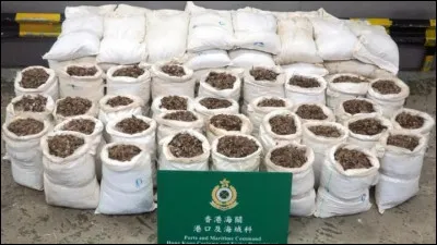 Quel pays a décidé de retirer les médicaments issus du pangolin, à la vente pharmaceutique ?