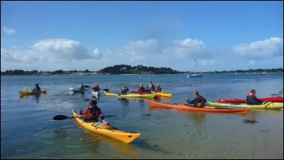 Quels sports Mercredi fait-elle dans la série ?