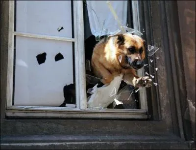 De quel �pisode est extrait cette image ?